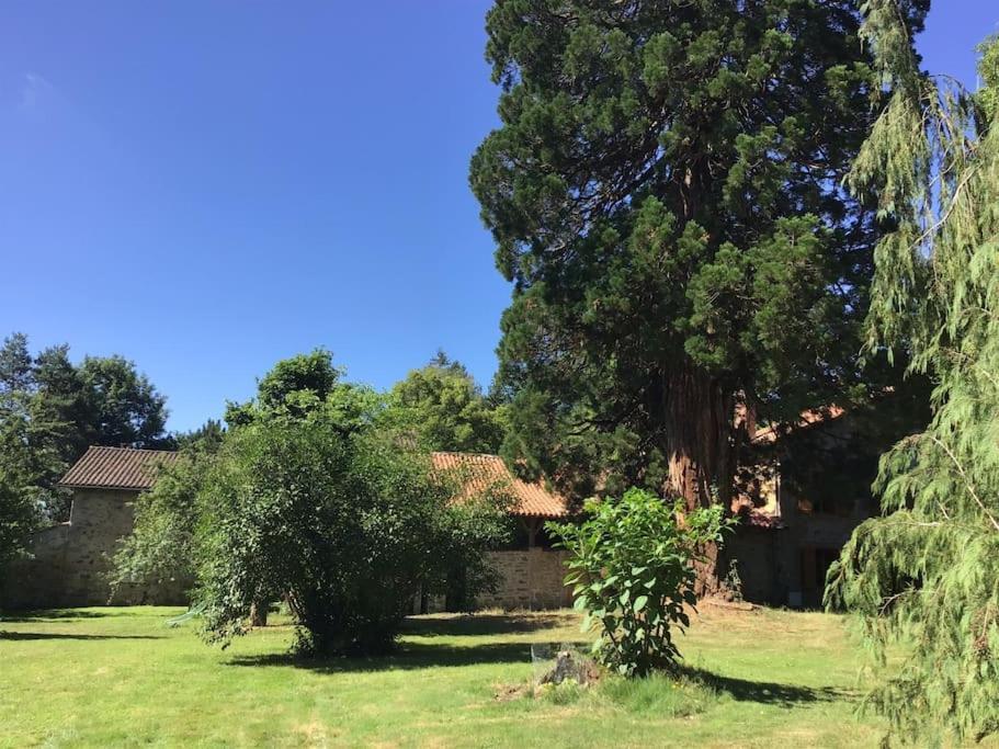 Maison Des Sequoias - Parc 1 Hectare- Veyrac Exteriér fotografie