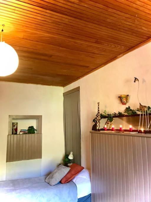 Maison Des Sequoias - Parc 1 Hectare- Veyrac Exteriér fotografie