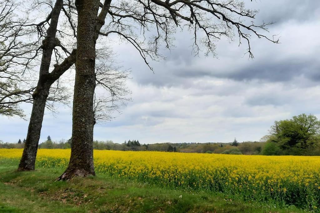 Maison Des Sequoias - Parc 1 Hectare- Veyrac Exteriér fotografie