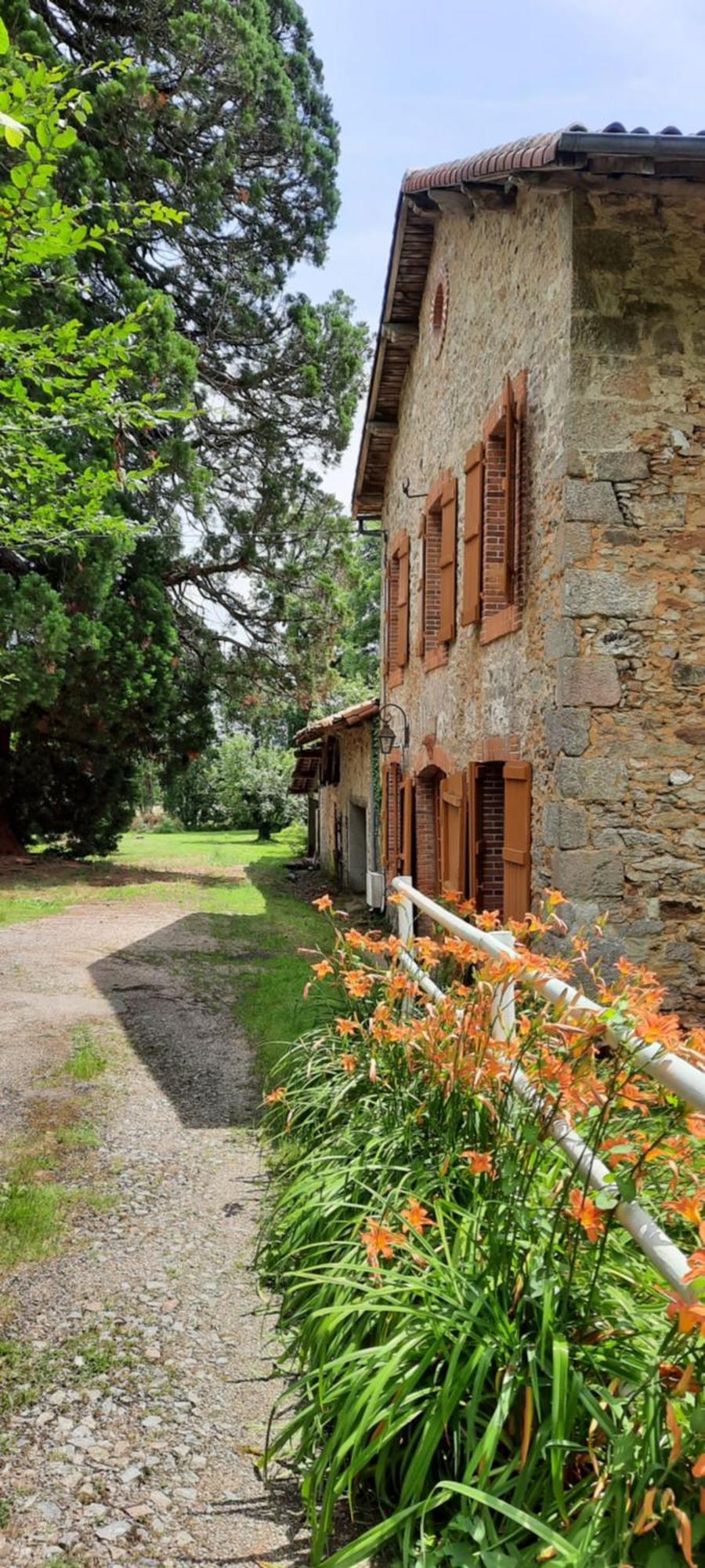 Maison Des Sequoias - Parc 1 Hectare- Veyrac Exteriér fotografie
